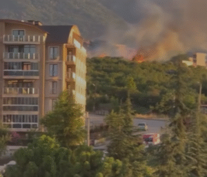 Bursa Kestel’de Sebebi Belirsiz Yangın: